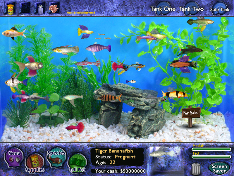fish tycoon free download